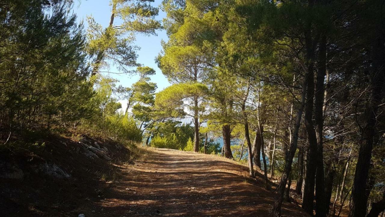 Apartman Karin Donji Karin Εξωτερικό φωτογραφία